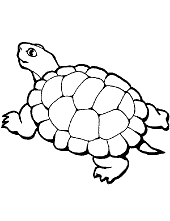 The set includes facts about parachutes, the statue of liberty, and more. Printable Animals Coloring Pages Topcoloringpages Net