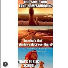 Want some funny homeschool memes to make your day? Homeschool Memes To Brighten Your Day Intentional Homeschooling