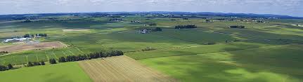 Residents should take extra precautions this winter to protect against vector pests. Integrated Pest And Crop Management News And Resources For Wisconsin Agriculture From The University Of Wisconsin Madison Uw Madison
