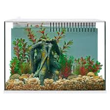 I decided i actually hated these lids cause they weren't water tight. Top Fin Engage Trade 5 Gallon Aquarium Fish Aquariums Petsmart