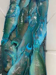 Guam Chuuk House Market added a...