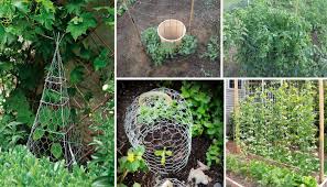 grillage a poule pas cher cloture enclos clotures grillages grillage a poule supports pour plantes structures de jardin