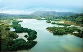 Tasik semulajadi terbesar di malaysia ialah __. Portal Rasmi Kerajaan Negeri Pahang