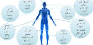 فوائد شرب الماء بكثرة للتخسيس اشرب ماية و اكسب صحتك الغدر والخيانة