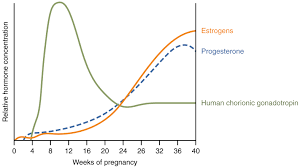 28 4 maternal changes during pregnancy labor and birth