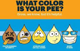 Pinecrestwrestling On Twitter What Color Is Your Pee Hydration Test Tomorrow 23 October Monday In Wrestling Room After Final Bell 4 5 30 Pm Drink Water Wrestlehard Https T Co Oqzxox0f8d