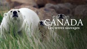 Photo Canada - Les terres sauvages - OrangeTV - Boutique Orange