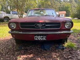 Image result for Rangoon Red 1964 Mustang