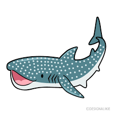 ジンベエザメ かわいい