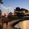 We help you find the best landscaping companies in oakland, ca. 1