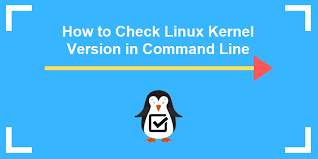 Maybe you would like to learn more about one of these? How To Check Linux Kernel Version In Command Line 4 Easy Options