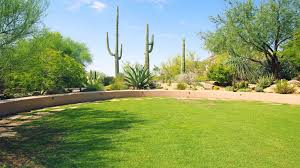 This should be done 6 months or more prior to the expected planting date to. When To Plant Winter Ryegrass