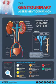 Pin On Nurse Education