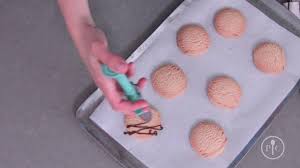 Chocolate Drizzler From The Pampered Chef Pampered Chef Chef Chocolate