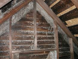 Resemblance Of Molds In Attic And How To Resolve Them Mold Remover On Wood Diy Molding Get Rid Of Mold