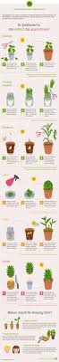 Die Infografik Zeigt Ihnen Wie Sie Aus Kuchenresten Neues Gemuse Ziehen Drucken Sie Die Grafik Aus Und Ziehen Sie Ihr Eigenes Pflanzen Garten Krauter Pflanzen