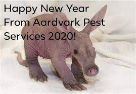 Услуги по борьбе с вредителями. Aardvark Pest Services Pest Control Service San Antonio Texas Facebook 128 Photos