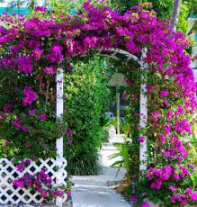 Great savings & free delivery / collection on many items. Small Garden Designs Adding Structure To Your Small Garden Garden Archway Southern Garden Bougainvillea Trellis