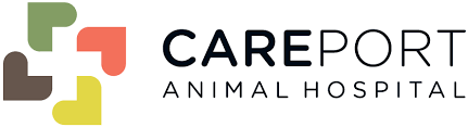 24 hour pet clinic regina. Careport Animal Hospital Veterinary Clinic In Regina Sk