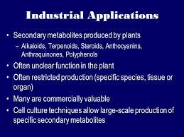 Industrial uses of plant cell culture. Plant Tissue Culture I Plan To Go Into More Technical Detail With Tissue Culture Techniques Than I Do With Some Of The Other Molecular Biology Techniques Ppt Download