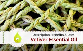 Antioxidants are substances that help prevent certain types of cell damage, especially. Vetiver Essential Oil Description Benefits Uses