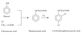 Some plants and weeds, especially woody varieties, are difficult to control and may require repeat applications. 2 4 Dichlorophenoxyacetic Acid 94 75 7