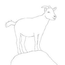 Pin On Animals