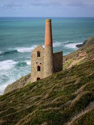 Image result for Wheal
