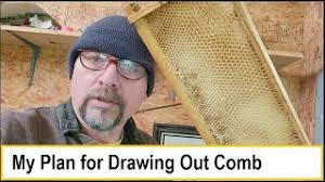 2024 Plan for Drawing Comb