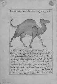 But nowadays we can see almost all muslim homes and offices were decorated with sceneries and pictures. Animals In The Qur An Part Ii Animals In The Qur An