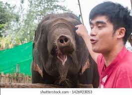 84 May Kha Images, Stock Photos, and Vectors