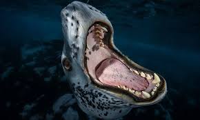 Annika Fox Nude - Leaked Private Footage