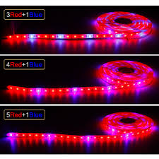 12v Full Spectrum Led Grow Light Strip Red Blue Growing Lamp Waterproof Ip65 Ip20 For Hydroponics Flowers Plants Vegetables Led Grow Lights Aliexpress