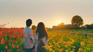 Not with other leading man. The Hows Of Us Home Facebook