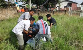 Gagau ikan di sawah padi. Warga Tewas Ke Strum Saat Menangkap Ikan Di Areal Bekas Sawah Reportase Tv Berita News Reportase Tv