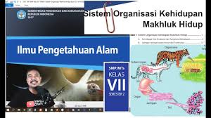 Nah, dalam ilmu pengetahuan alam untuk menyatakan tingkat panas dinginnya suatu keadaan digunakan suatu besaran yang disebut suhu atau temperatur. Ipa Smp Kelas 7 Semester 2 Bab 1 Sistem Organisasi Mahluk Hidup Bse K13 Revisi 2017 Youtube