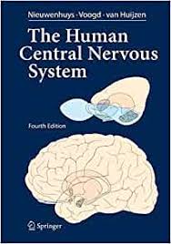 Organization nervous system subdivision that is composed of the brain chapter 7 the nervous.pdf the nervous 7 chapter outline system w 190 chapter 7 the nervous system the nervous system is categorized by function and. The Human Central Nervous System A Synopsis And Atlas 9783540346845 Medicine Health Science Books Amazon Com