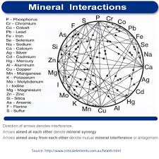 Mineral Wheel Mineral Interaction Mosa Nutrionomics