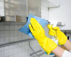 We did not find results for: Hood And Exhaust Fan Cleaning Nfpa96 Guidelines