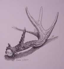 Pencil Contour Line Drawing Of A Deer Antler Google Search Deer Drawing Antler Drawing Antler Art Drawing