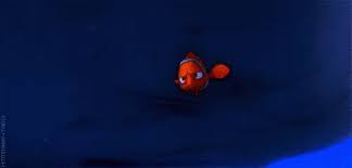 We did not find results for: Best Nemo Boat Gifs Gfycat