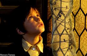 Film Programmes Office