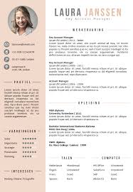 Cv Sjabloon 25 De Leydsche Cv Advies En Ontwerp