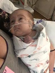 Fundraiser for Morgan Kobel by Morgan Kobel : In Loving Memory of Princess  Hannah