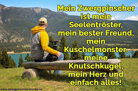Wichtig ist wer trotzdem zu dir halten wird und dich akzeptiert wie du bist. Zwergpischer Zitate Und Spruche Zwergpinscher Hunde