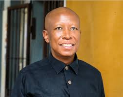 Julius Malema thanks EFF fans after difficult 2024 but typos take centre  stage