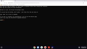 Leaving your job to pursue an indie project as a solo developer How To Find The Ip Address From Within The Crosh Of Chrome Os Mydoodads Com