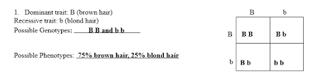 Recessive trait definition at dictionary.com, a free online dictionary with pronunciation, synonyms and translation. Https Www Stocktonusd Net Cms Lib Ca01902791 Centricity Domain 3232 Punnett 20squares 20monohybrid 20practice 20fillablef Pdf
