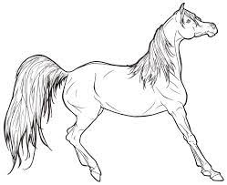 Realistic horse printable coloring page, free to download and print. Realistic Horse Coloring Pages To Print Coloring Home