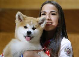 Premium dog food is created with higher quality ingredients than generic food for your pup. Japan Keeps Word Gifts Akita Dog To Russian Skater Zagitova People The Jakarta Post